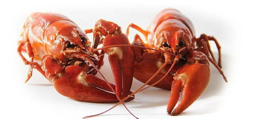 吮指誘惑,麻辣小龍蝦復合調(diào)味料在烘焙中應用